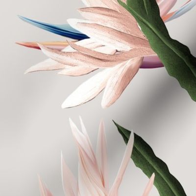 Half Drop Bird of Paradise with Pink Flowers by kedoki on solid background -final