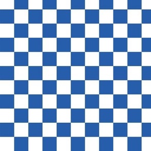 Blue and White Checkerboard (sm)