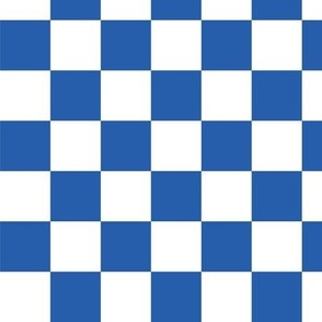 Blue and White Checkerboard (med)