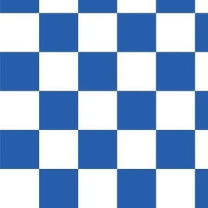 Blue and White Checkerboard (lg)