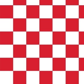 Red and White Checkerboard (med)