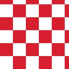 Red and White Checkerboard (lg)