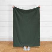 The Solids Collection by Shelly Turner, Solids, Deep Woods Green