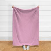 Soft Lilac Solid Color - Printed Light Rose Pink Block Color - Sweet Baby Girl Pastel Pink Plain Colour