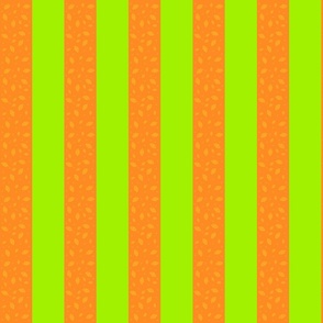 Bright Orange Butterfly & Lime Green Stripes