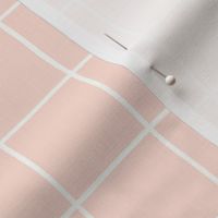 Court Sports Inspired Gingham Design with White Stripes on a Pale Pink Background