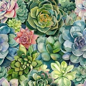 Watercolor Succulent Garden, Bright Botanical