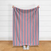 July 4th stars ribbons vertical stripes