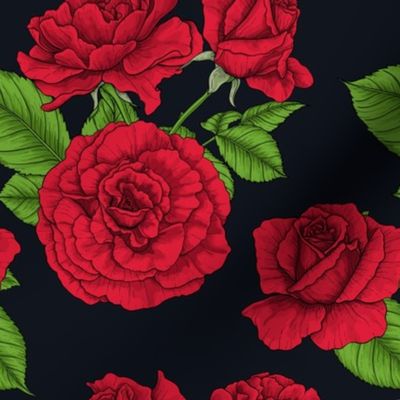 Red roses on black