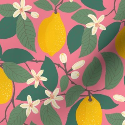 Lemon Tree - Hot Pink (M/XL) - Citrus Fruit Botanical