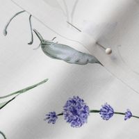  Watercolor wildflowers. Light background