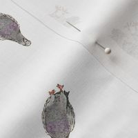 Gray Green Pigeons Doves | Watercolor | Medium