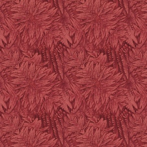 Alizarin  Red ferns