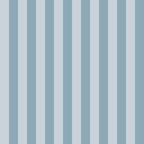 Blue gray_0.5 inch stripes