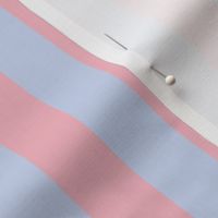 Blush pink and baby blue_1 inch stripes