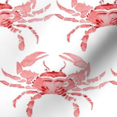 Watercolor Red Crab!