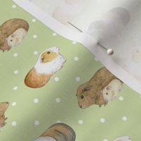 Guinea Pig Rows and Swiss Dot on green tea - small scale