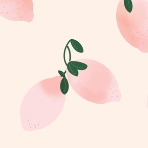 Jumbo Pink Grapefruit