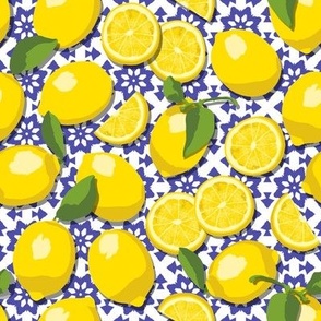 Sunshine lemons - yellow citrus - bright lemon fruit