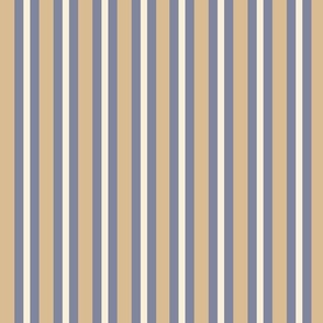 Moody Chambray Stripe-Medium