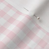 Bigger Sweet Spring Pastel Pink Gingham