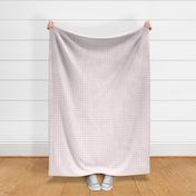 Bigger Sweet Spring Pastel Pink Gingham