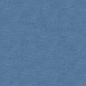 Denim Look Jean Texture Plain Blue Solid Colour