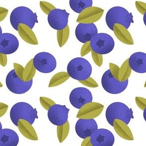 Blueberries on white