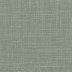 neutral green on linen texture solid, minimal cozy scandi japandi style, eco friendly