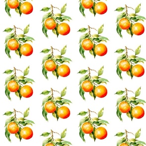 Watercolor Oranges