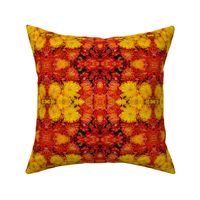 Mums Burnt Orange and Yellow (medium design)