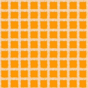 2”rpt - Check It Out Gingham in Orange Crush