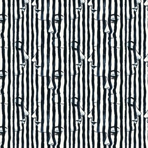 Symmetry in Contrast: Exploring the Striped Gemini Twins Pattern