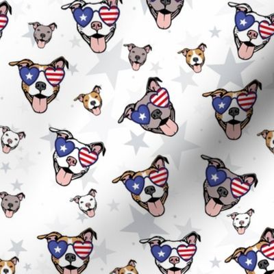 PATRIOTIC PITBULL - 4TH OF JULY DOGS - RED WHITE BLUE - on WHITE