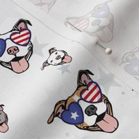 PATRIOTIC PITBULL - 4TH OF JULY DOGS - RED WHITE BLUE - on WHITE