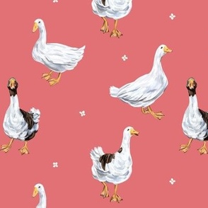 Geese (pink)