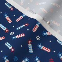 pawtriotic party – fireworks and paw prints | small