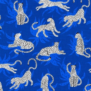 Snow Leopards - elegant big cats on blue textured background with plants