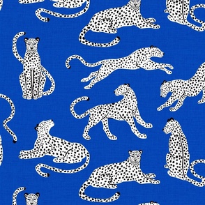 Snow Leopards -elegant big cats  in white and blue colors design 