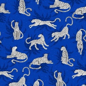 Snow leopards- in the night- elegant big cats in white blue navy design