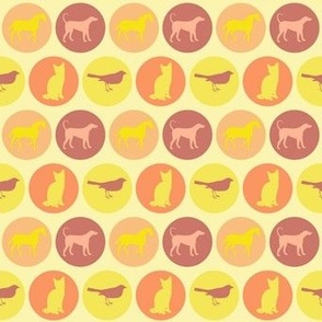 Cats,  dogs, horses  and birds in circles yellow 