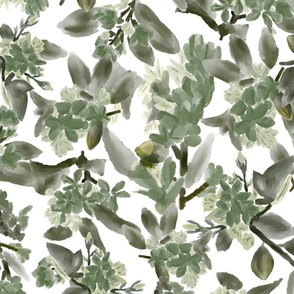 Hawthorn Haze Painterly Abstract Florals in sage green on white