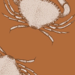 (L) Crustacean Crabs seafood beige on terracotta