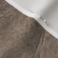 Natural Stone Textured Earth Beige