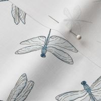 Dragonflies Flying and Dancing | Watercolor | Medium