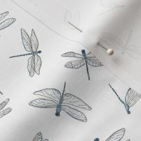 Dragonflies Flying and Dancing | Watercolor | Small 