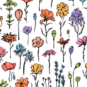 cottagecore  chic rustic wild flowers, colorful bright pastel palette country style rustic ink  hand drawn wild florals botnicals blooms weeds, poppies, gerbera, daisy, cosmos, lavender, cornflowers,  buttercups etc
