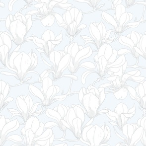 Magnolias with soft blue background 