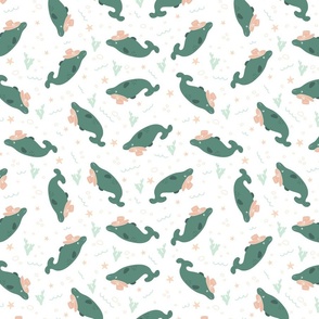 (S) Cowboy Dolphins - Dusty Teal and Pastel Apricot Green Western Kids Nursery Funny Animals Ocean Life Coastal 