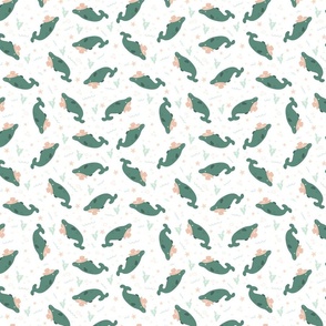 (XS) Cowboy Dolphins - Dusty Teal and Pastel Apricot Green Western Kids Nursery Funny Animals Ocean Life Coastal 